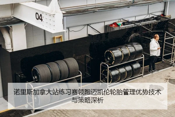 诺里斯加拿大站练习赛领跑迈凯伦轮胎管理优势技术与策略深析